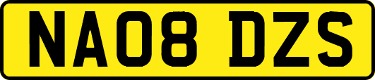 NA08DZS