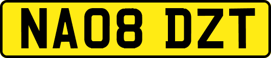 NA08DZT