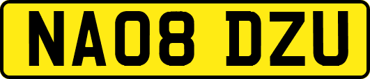 NA08DZU