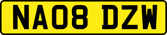 NA08DZW