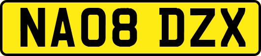 NA08DZX