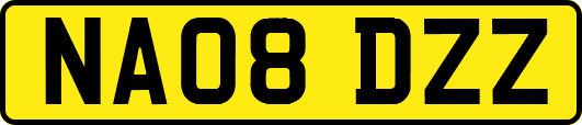 NA08DZZ