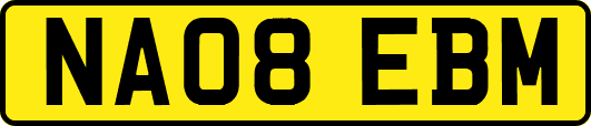 NA08EBM