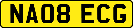 NA08ECG