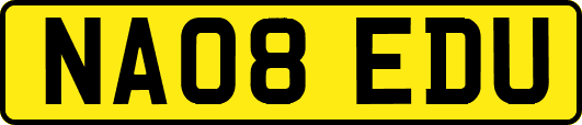 NA08EDU