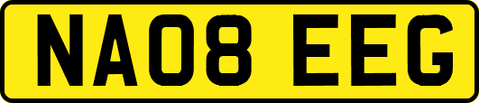 NA08EEG