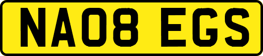 NA08EGS