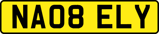 NA08ELY