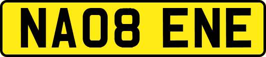 NA08ENE