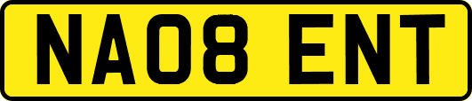 NA08ENT