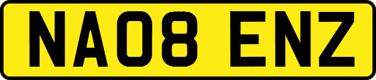 NA08ENZ