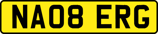 NA08ERG