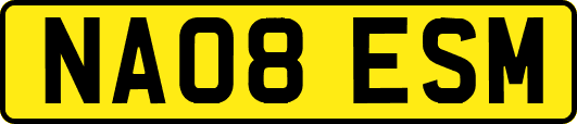 NA08ESM