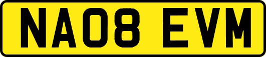 NA08EVM