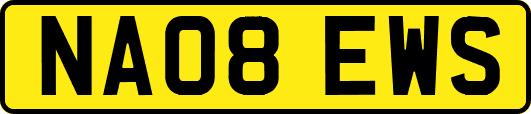 NA08EWS