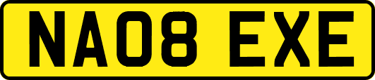 NA08EXE