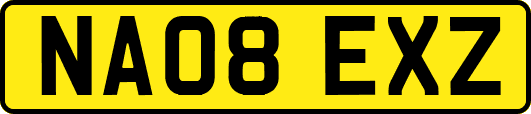NA08EXZ