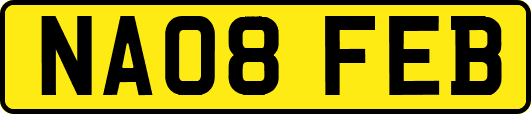 NA08FEB