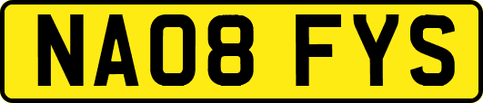 NA08FYS