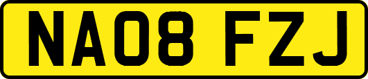 NA08FZJ