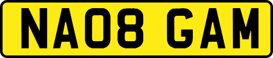 NA08GAM