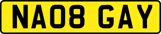 NA08GAY