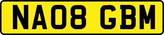NA08GBM