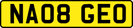NA08GEO
