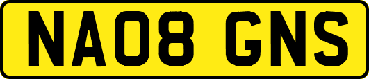 NA08GNS