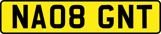 NA08GNT