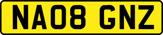 NA08GNZ