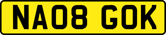 NA08GOK