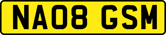 NA08GSM