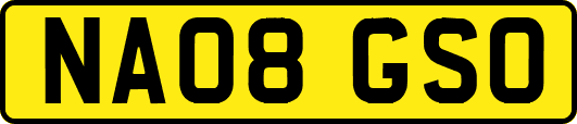 NA08GSO