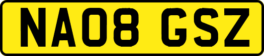 NA08GSZ