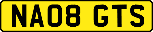 NA08GTS