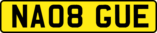 NA08GUE