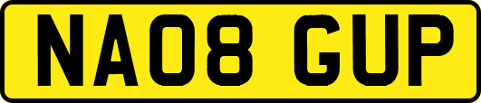 NA08GUP