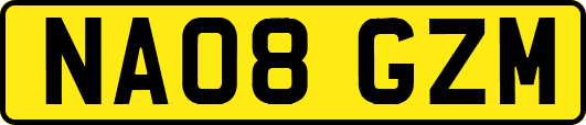 NA08GZM