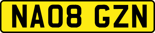 NA08GZN