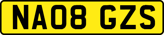 NA08GZS