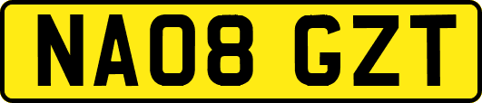 NA08GZT