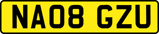 NA08GZU