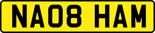 NA08HAM