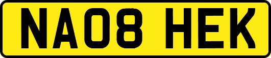 NA08HEK