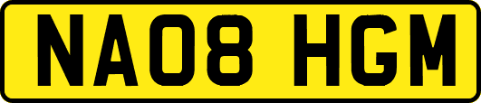NA08HGM