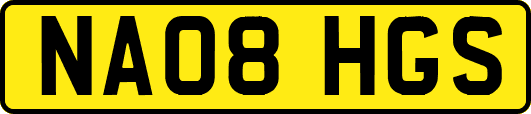 NA08HGS