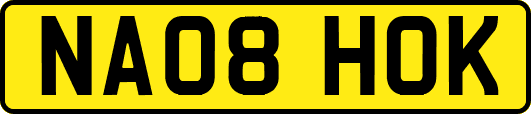 NA08HOK