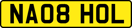 NA08HOL