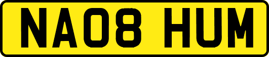 NA08HUM